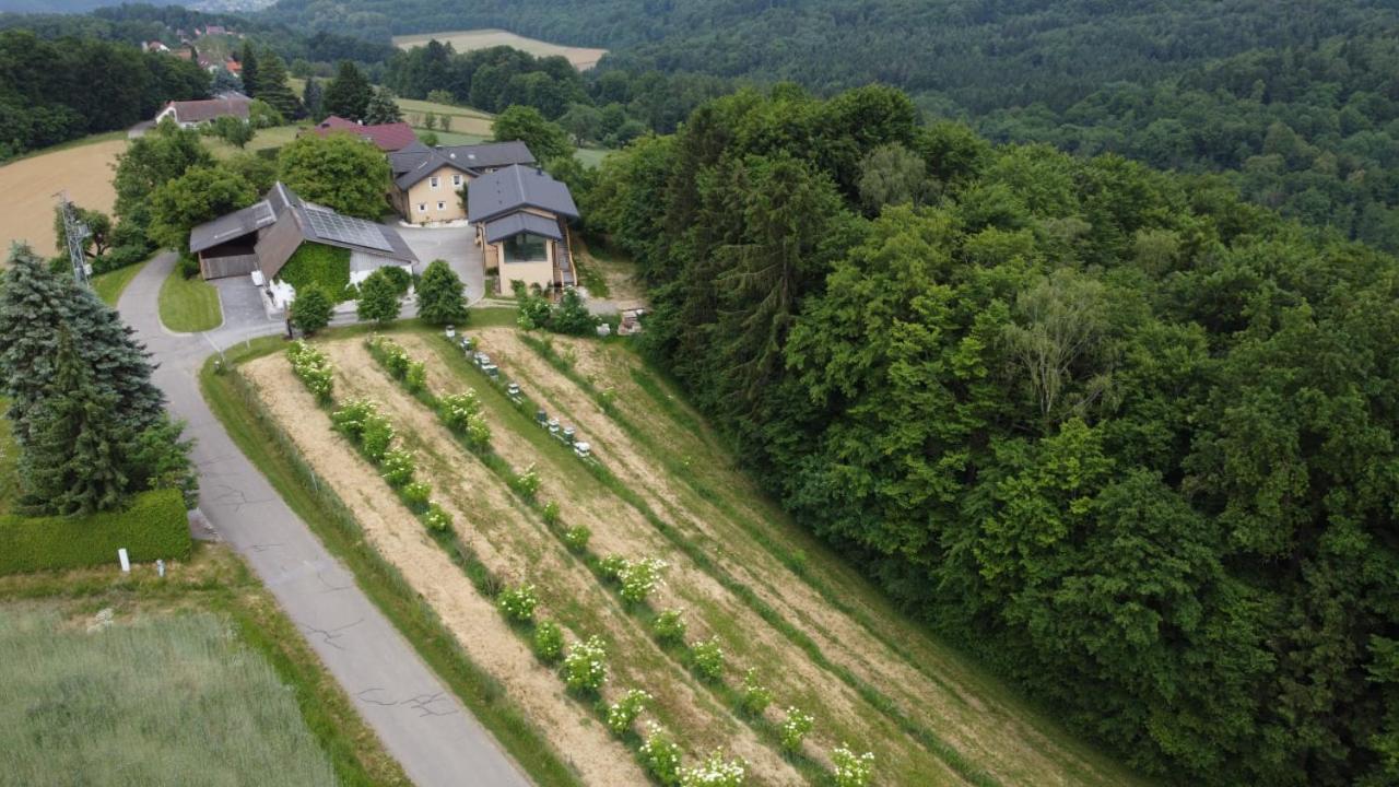 Beim Bergjosl Διαμέρισμα Kirchbach in Steiermark Εξωτερικό φωτογραφία