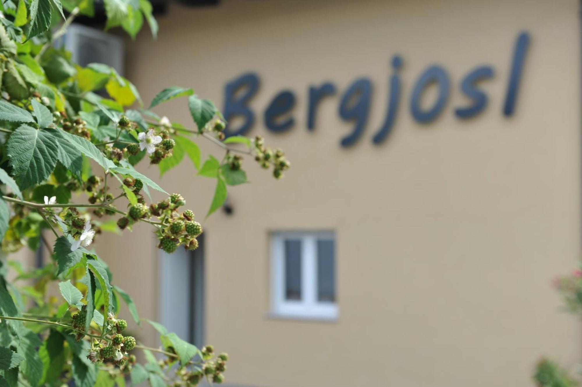 Beim Bergjosl Διαμέρισμα Kirchbach in Steiermark Εξωτερικό φωτογραφία